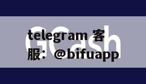 币付Pay与GCash：提供便捷代收代付服务，优化支付流程