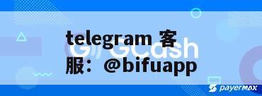 可靠的菲律宾支付通道，支持多行业商户接入